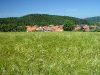 Blick auf den Hainsemannskopf (345m). (© Mike Schwarz)