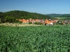 Blick auf den Hainsemannskopf (345m). (© Mike Schwarz)