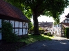 Blick von der Heimatstube zur Linde an der Petri Kirche. (© Mike Schwarz)