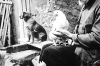 Opa Peter Pfingst mit Hund "Mulli". (© Stadt Frankenberg Eder)