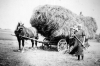 Beladener Heuwagen. (© Stadt Frankenberg Eder)