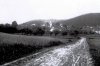 Blick zum Hainsemannskopf, Aufnahme um 1910. (© Stadt Frankenberg Eder)